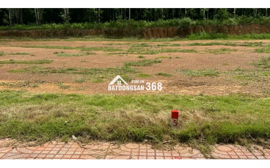 Vốn ban đầu 80 triệu có ngay đất đầu tư tại Đồng Phú - Bình Phước